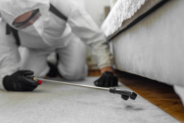 Professional Bed Bug Control technician working in Odessa, TX