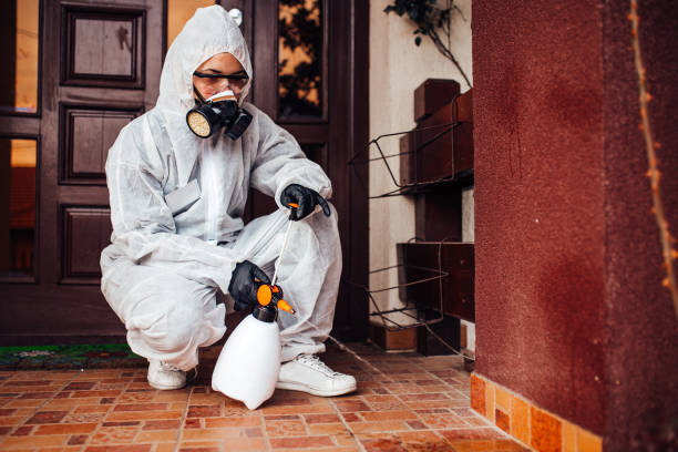 Reliable Bed Bug Control contractor in Odessa, TX by Nex Pest Control
